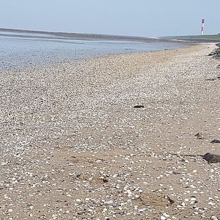 Haus Am Meer Eckwarden Butjadingen Eksteriør billede